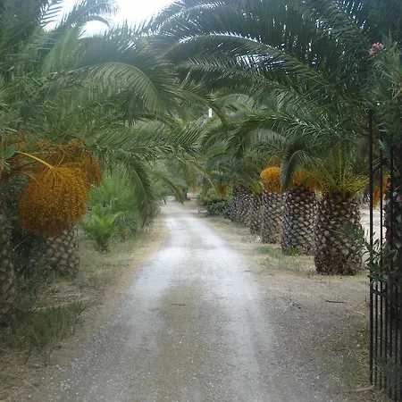 Theodora Керион